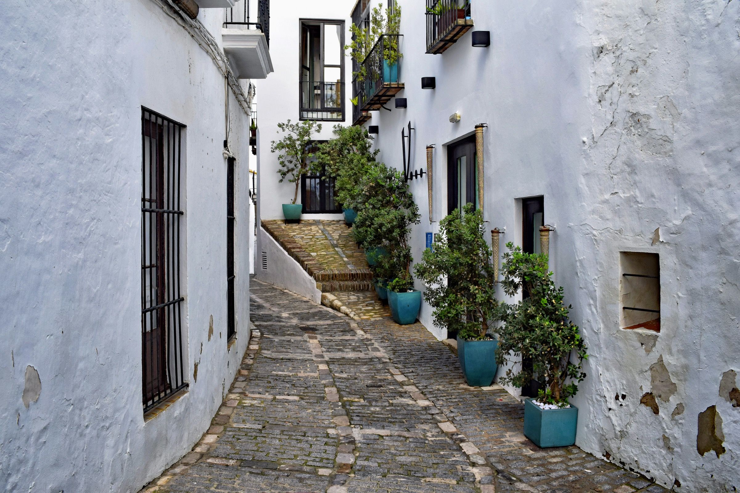 Calle empedrada y encalada de un pequeño pueblo blanco andaluz, con macetas verdes junto a las puertas